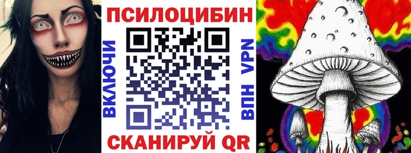 Псилоцибиновые грибы Psilocybe  Купить закладки  Камбарка 