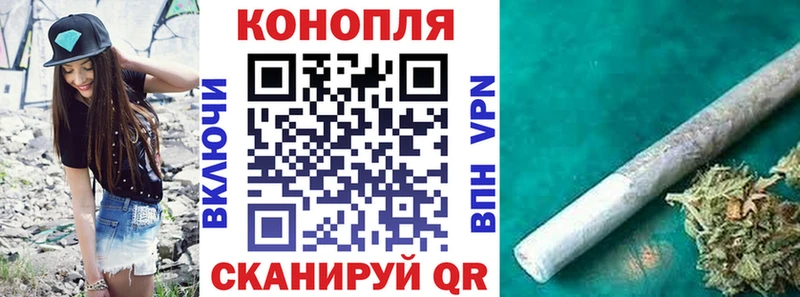 Бошки Шишки план  Купить где  Камбарка 